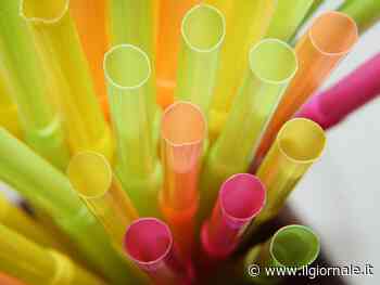 “Torniamo alla plastica!”. Così Trump stronca le cannucce green