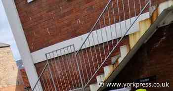 Teenage girl exposed to as she walked home alone