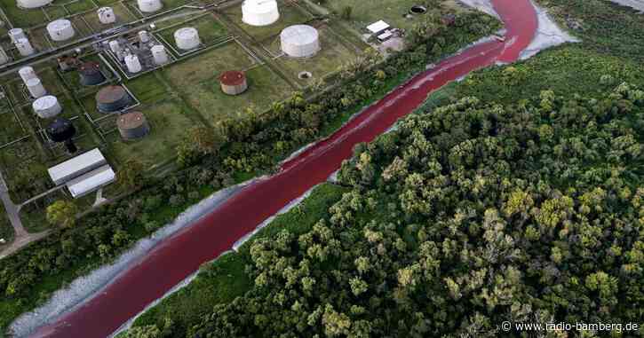 «Fluss aus Blut»: Bach in Argentinien färbt sich rot