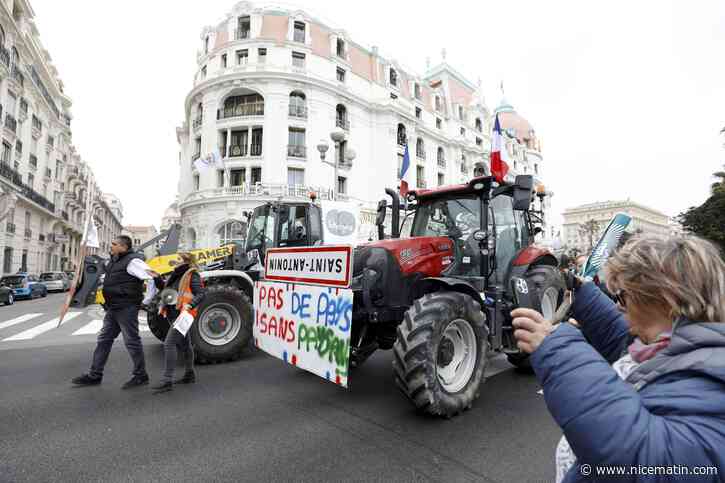 Elections à la chambre d’agriculture 06: la liste FDSEA/JA en tête
