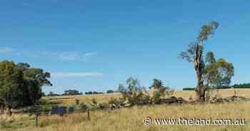 Reporting farm damage following a storm: is it a necessity?