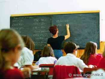 Il Comune di Pavia a guida Pd vuole "alfabetizzare" i bimbi con la favola dei conigli gay