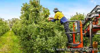 Big night of online auctions to test appetite for Goulburn Valley orchards