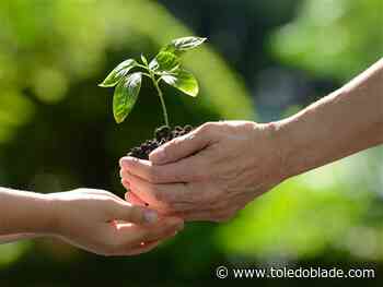 Conservation district’s annual tree sale runs through March 3