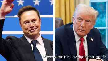Trump kündigt an: Musk auch mit Überprüfung des Pentagon-Budgets beauftragt