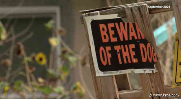 Albuquerque woman facing 200+ animal abuse charges deemed incompetent for trial