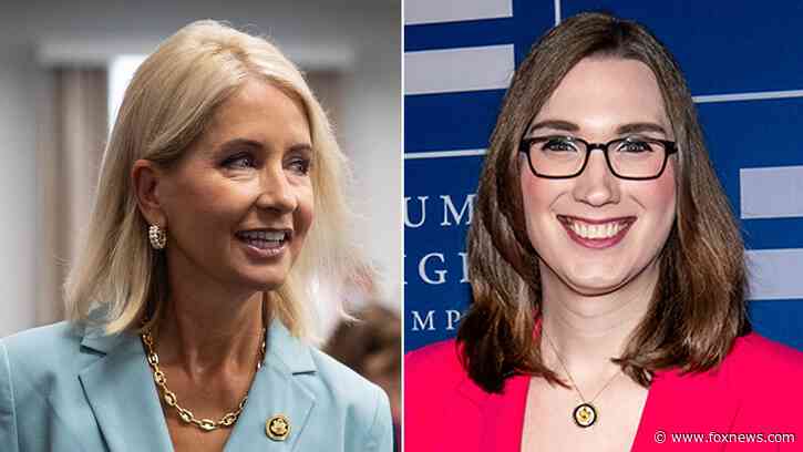 House Republican introduces transgender lawmaker as 'the gentleman ... Mr. McBride' for floor speech