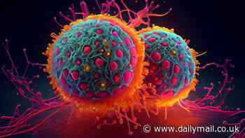 Cancer breakthrough as scientists discover 'switch' that reverses disease