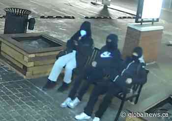 Calgary police seek information on suspects in arson investigation