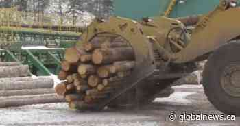 B.C. forest sector could face devastating blow if tariff threat goes through