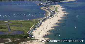 Echo readers can subscribe for £5 for 5 months in this flash sale