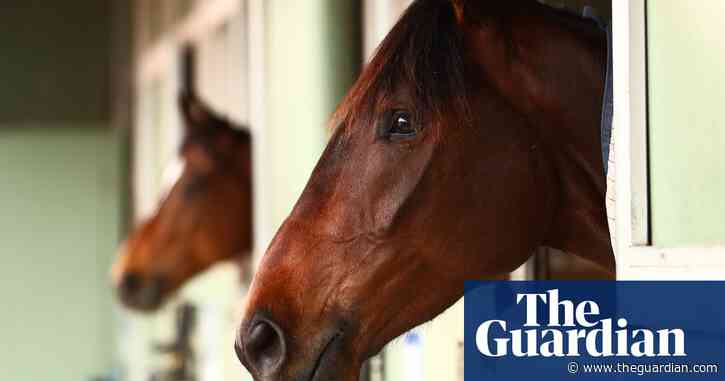 ‘They were going berserk’: horses allegedly distressed by frequent concerts at Flemington racecourse