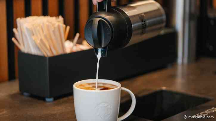 Stop by Starbucks on Monday and score a free hot or iced brewed coffee