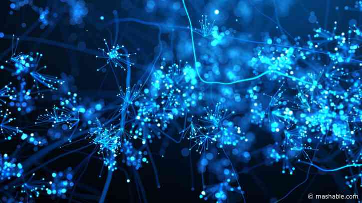 Researchers created an AI reasoning model on par with OpenAIs o1 for less than $50