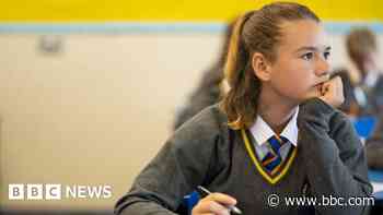New history GCSE delayed as teachers 'not confident'