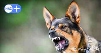 Asyldebatte auch in Hannover: Der HAZ-Kommentar