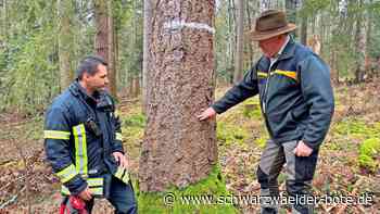 Waldbrände bekämpfen: Wie gut ist die Haiterbacher Feuerwehr vorbereitet?