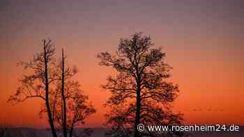 Winterwetter meldet sich bald zurück - droht uns Schnee bis in den April?