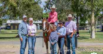 Nutrien Classic heats up as day three sets new top price for 2025 sale