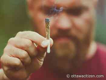 Rising cannabis use disorder linked to increase in schizophrenia and higher risk of death, studies show