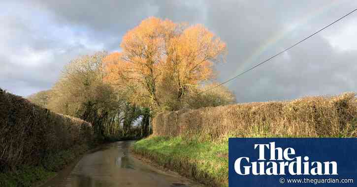 Country diary: The first, early stages of awakening as the Earth tilts towards the south | Sara Hudston