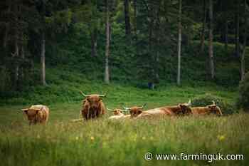 Scottish farmers set to benefit from £46m in capital grants