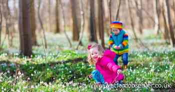 February half term family days out up to half price with Family Pass £1 trial