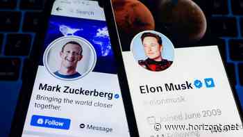 Diskussion um X, Meta und Co. : Wie Medien sich gegen die Dominanz der Plattformen wehren könnten