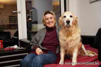 Lies (50) knokte zich in de gemeenteraad, en dat was niet makkelijk: “Mensen nemen mij vaak niet au sérieux”