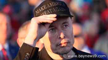 Federal judge blocks Elon Musk's DOGE from accessing sensitive U.S. Treasury Department material