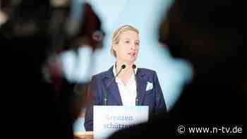 "Wo steht das?": Sätze aus dem Wahlprogramm der AfD - und was sie bedeuten