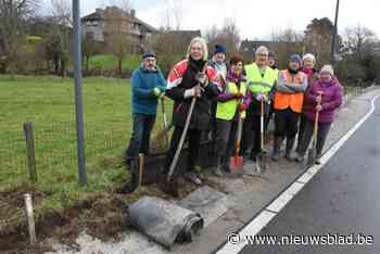 Leeuwse Natuurvrienden helpen opnieuw padden de straat over