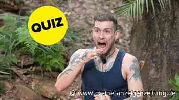 Dschungelcamp-Quiz: Wie nah würden Sie der Krone kommen?