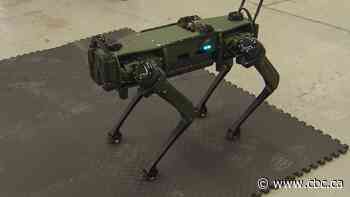 Robo-dog can be programmed to be industries' best friend