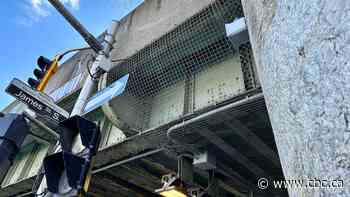 Poet, police, bird poop: Hamilton council considers these and other costs to shave $500K off city budget