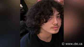 Winnipeg police look for missing 17-year-old