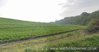 Consultation opens for 80-home Maple Cross development