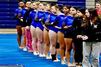 W-L second, Wakefield gymnast all-round champion in district