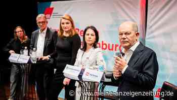 Scholz will Stromnetze nicht verstaatlichen