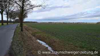 Auf diesem Helmstedter Acker könnte Solarstrom gewonnen werden