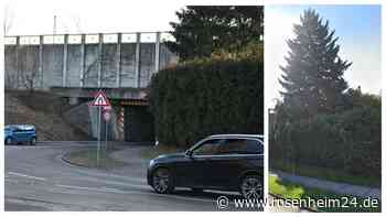 „Steht da wie ein Wahrzeichen”: Große Tanne fällt Raublinger Mega-Projekt zum Opfer