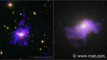 Black Holes Prepare and Eat Their Own Dinner, New Study Shows