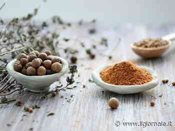 Ricca di fibre e vitamine ma occhio aglieffetti allucinogeni: i benefici della noce moscata