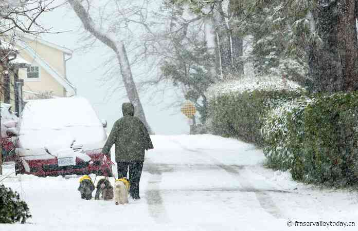 More snow for Vancouver Island while B.C.’s North Coast faces Arctic outflow