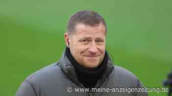 Eberl bestätigt: Dieser Star wird Bayern in Glasgow wohl fehlen