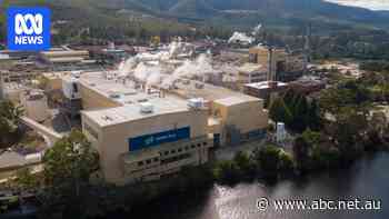 Australia's first, and now last, newsprint maker will have a new owner