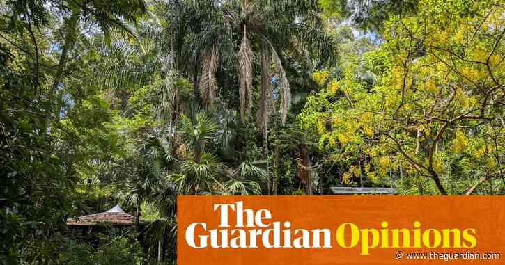 I live in a forest my parents planted when I was a child. It’s not too late for you to grow one too | Jessie Cole