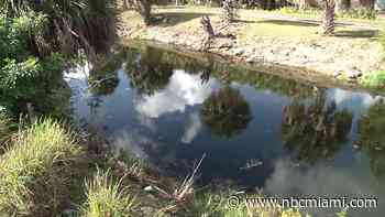 Man hospitalized after nearly drowning in canal in Lauderhill