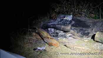 112-nieuws: man verbrandt boeken bieb • containerbrand in Breda