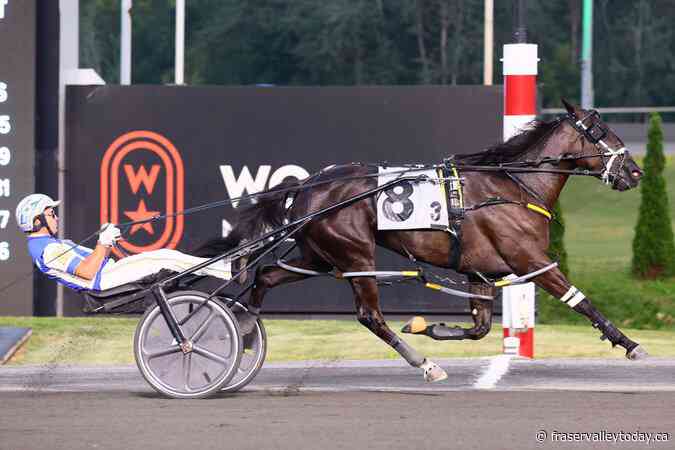 Chantilly a big winner at harness racing’s O’Brien Awards